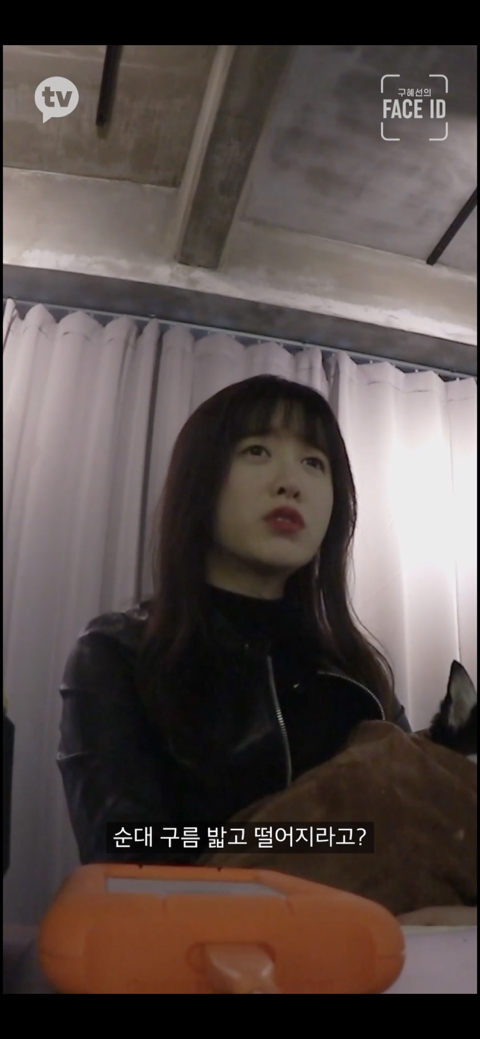 [페이스아이디] 순대가 하늘에서 구름밟고 떨어졌으면 좋겠어 다시 키우게 .. (별이 된 구혜선 반려견) | 인스티즈