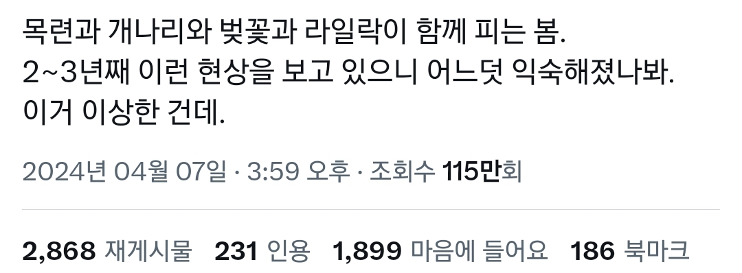 목련과 개나리와 벚꽃이 함께 피는 거 사실 이상한 건데 다들 익숙해진 듯.twt | 인스티즈