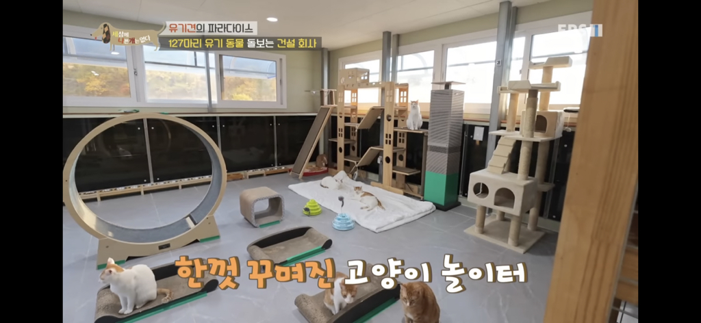 [세상에나쁜개는없다] 유기견의 파라다이스 | 인스티즈