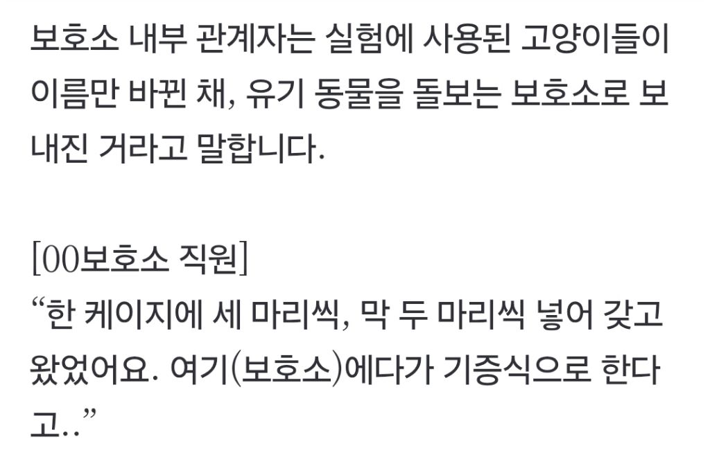 "특정 고양이만 골라갔다" 동물 보호소가 실험동물 공급처? (군산시 보호소) | 인스티즈