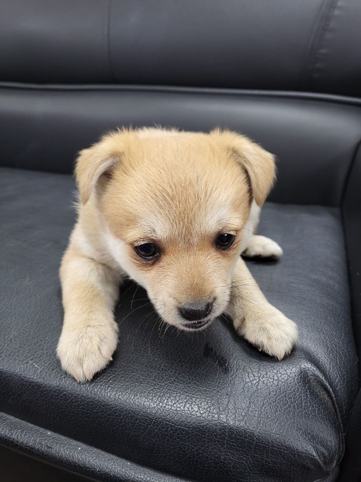 (공지라니... ++추가)새로생긴 회사 복지.. 미쳐서 도저히 일을 못하겠네.. (추가....)++추가 | 인스티즈