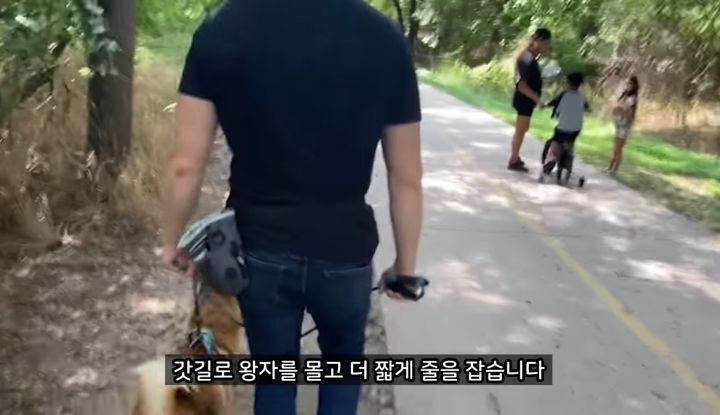미국에서 강아지 산책 시키다 어느 한국인이 욕 먹은 이유 | 인스티즈