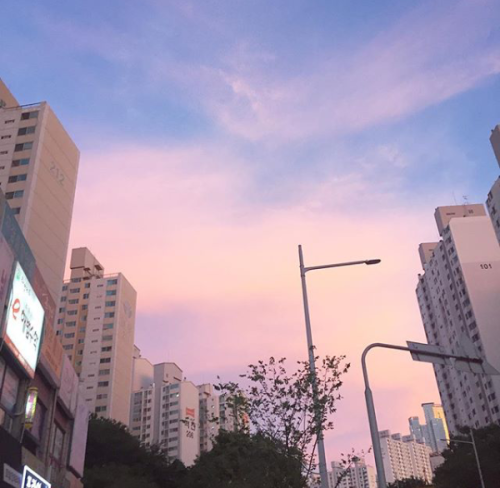 초저녁 걸어가다 넋놓고 올려다보게 되는 날 | 인스티즈