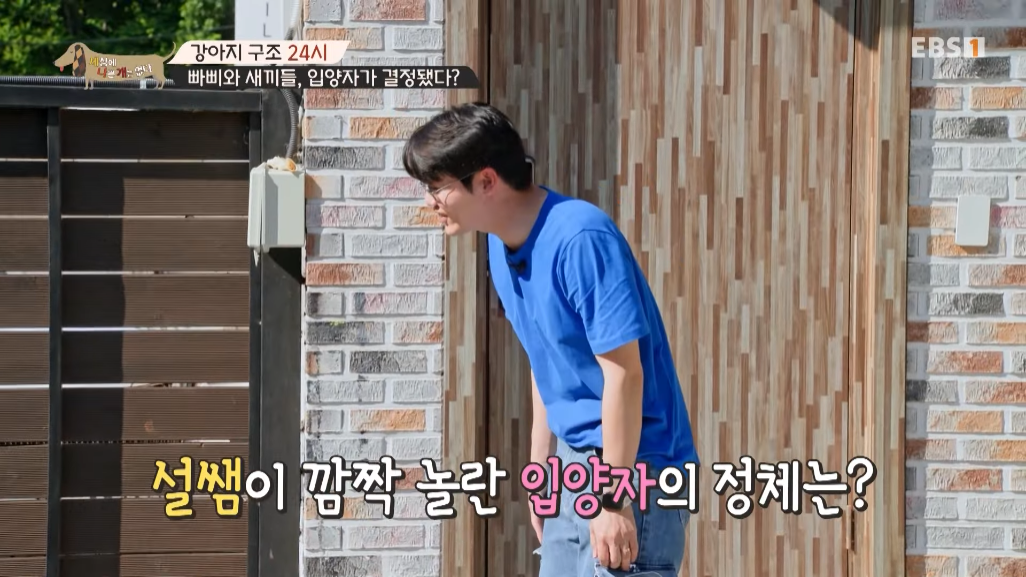 썩은물을 마시던 진돗개 가족을 입양한 배우 | 인스티즈