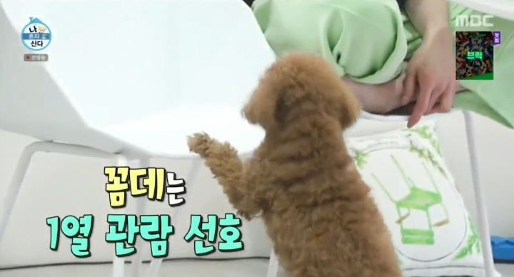 9e3dc6640665b0db735beb520bfb078cb02a3aa2