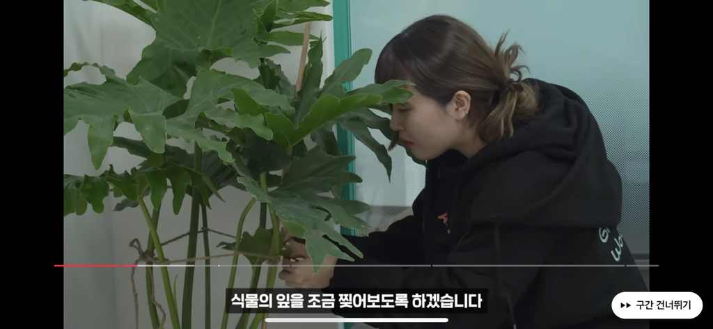 역대급 대충격이였던 식물실험 | 인스티즈