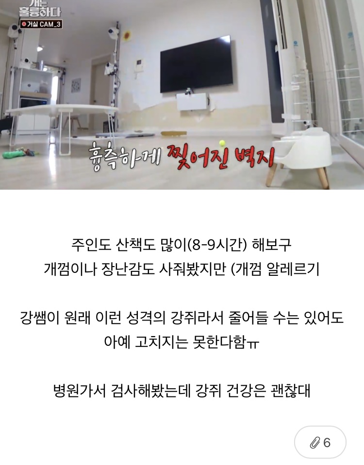 쫌쫌따리 모은 여캡 | 인스티즈