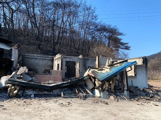 산불에 8일 못 씻은 할머니들, '목욕탕' 모셔갔더니… | 인스티즈