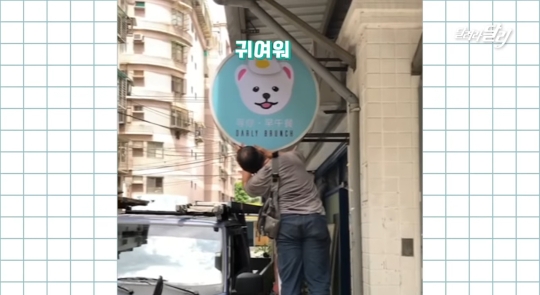 강아지 달리를 너무 좋아해서 가게이름도 달리로 지은 대만팬.jpg | 인스티즈