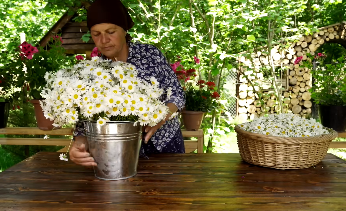 요즘 유튜브에서 은근히 인기 많다는 외국 시골 브이로그...jpg | 인스티즈