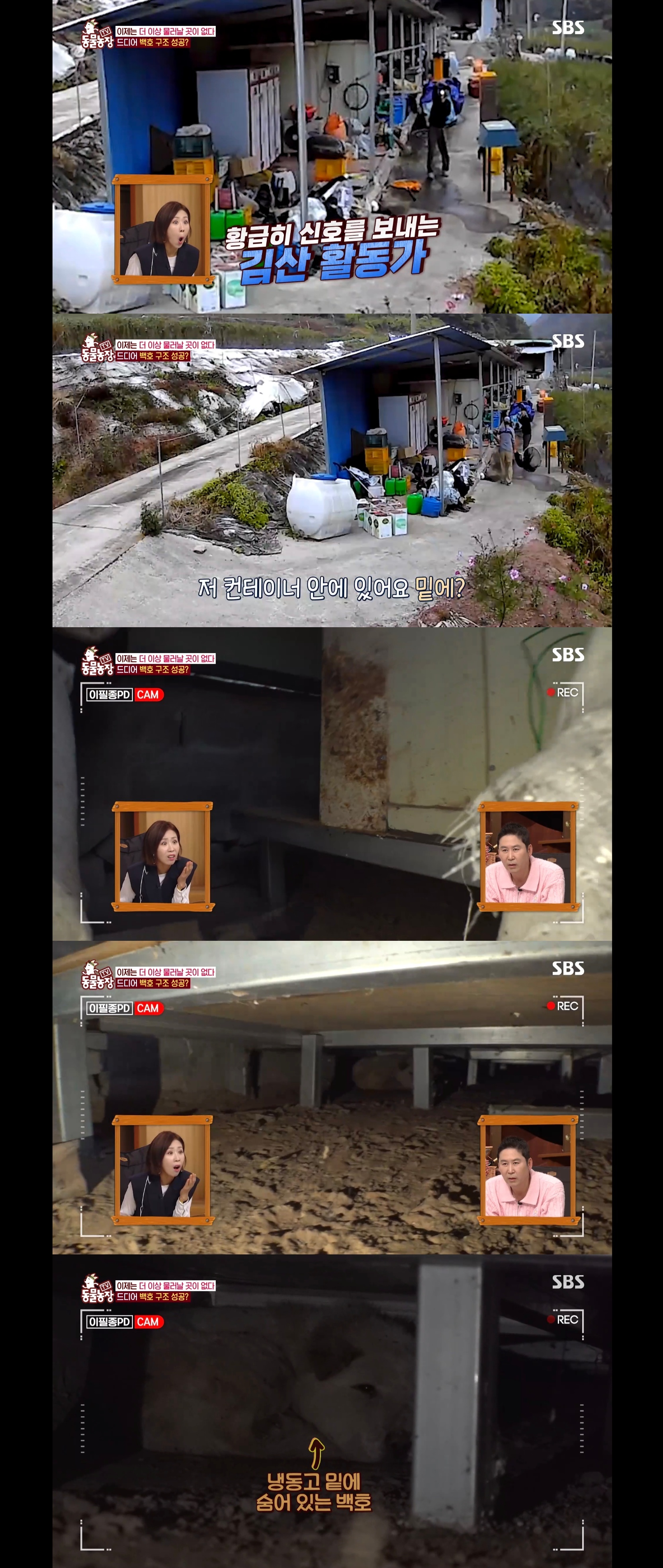 개가 너무 똑똑해서 역대급으로 구조 힘들었던 이번주 동물농장 방송.jpg | 인스티즈