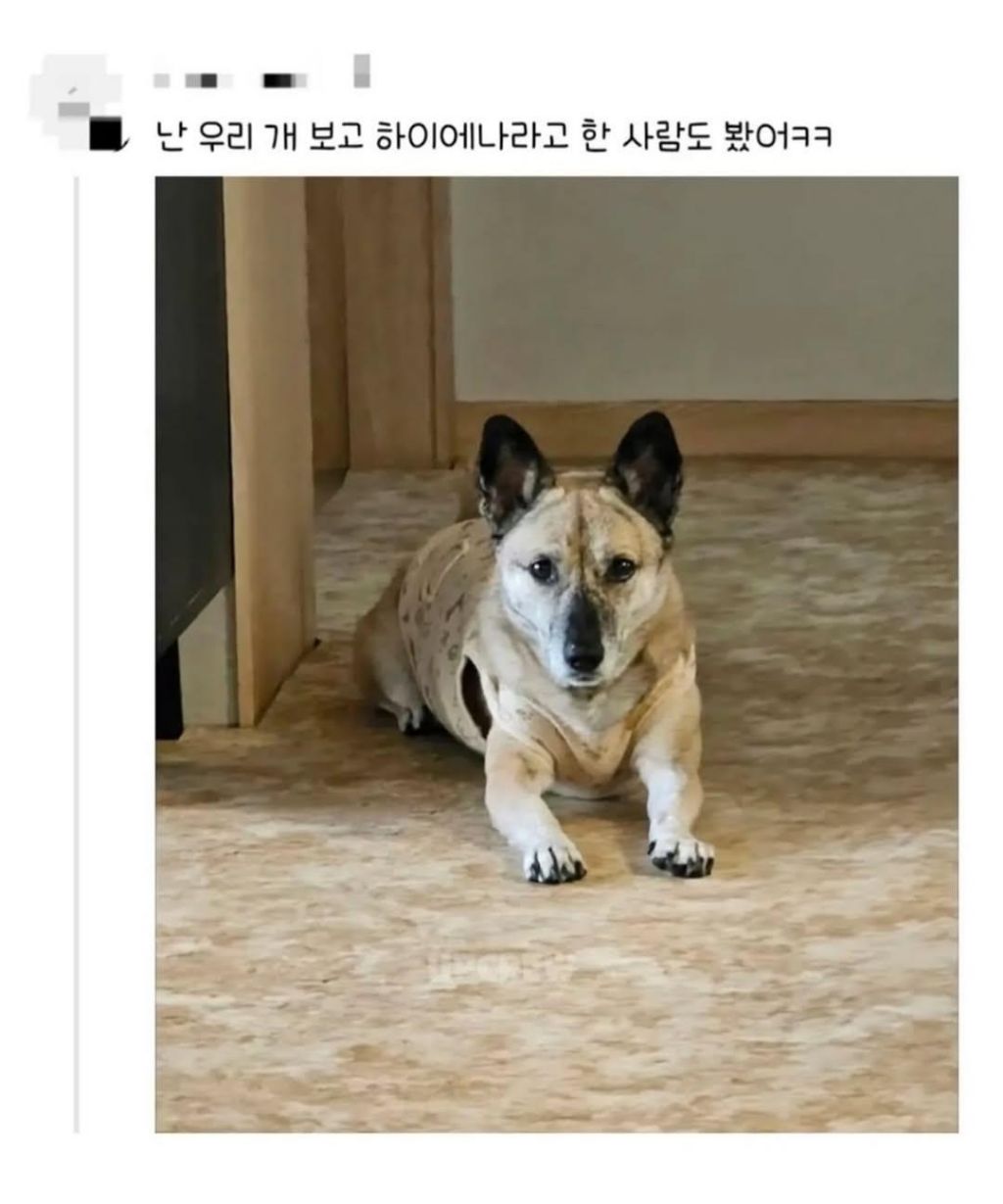 편견없는 대한민국 모음 | 인스티즈