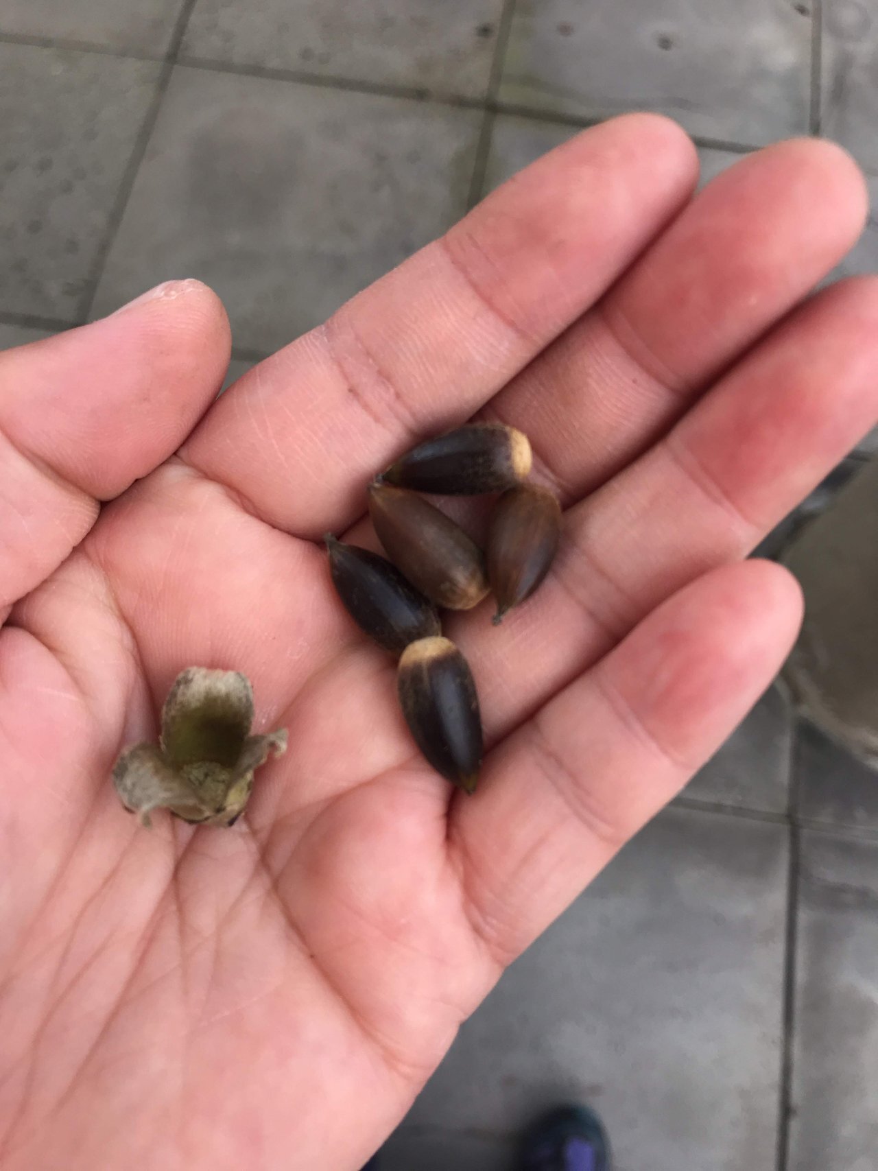 9eb54f54cc220efe2dec0dca1f6abca32289c36c