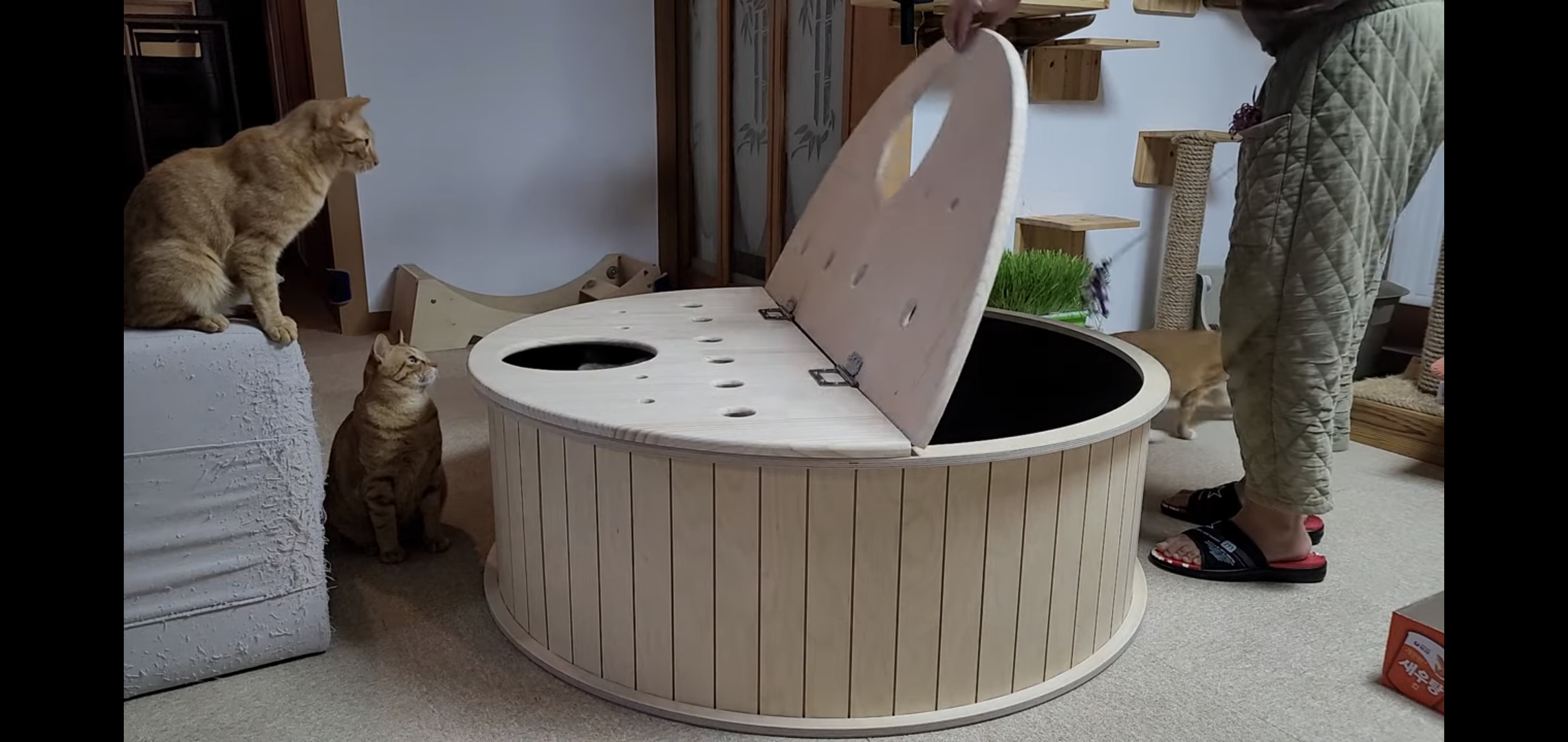 해괴한 고양이 장난감을 만들어낸 오늘자 매탈남.. jpg | 인스티즈