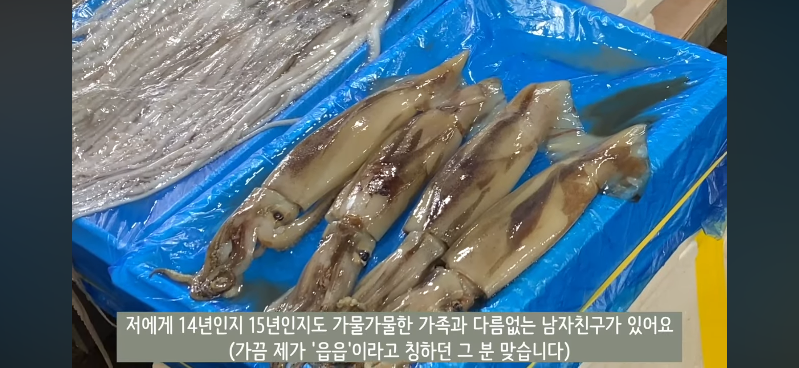 58만 유튜버 홍시 결혼 소식 | 인스티즈