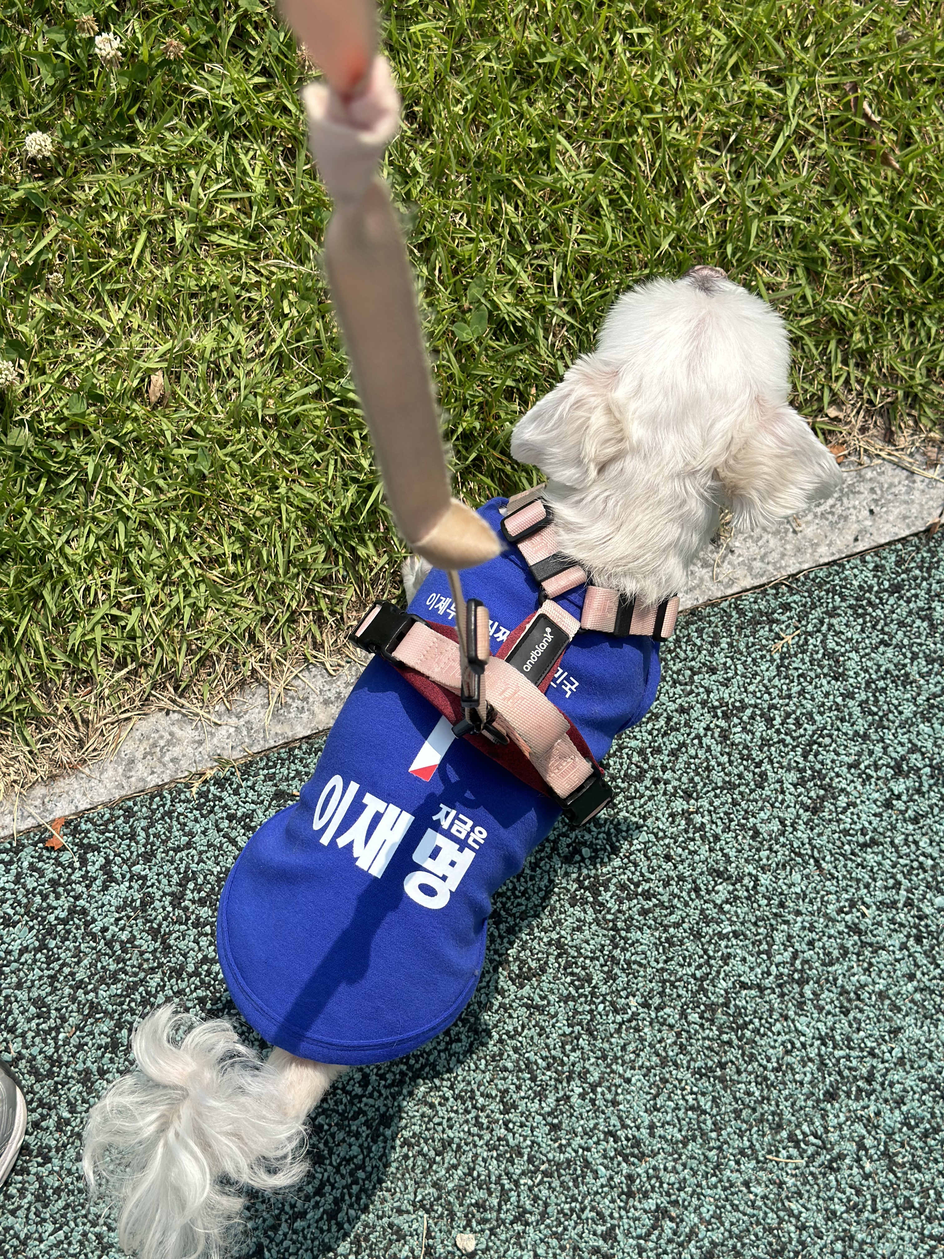 이재명 대통령만들기 정권찌르기 산책 완 | 인스티즈