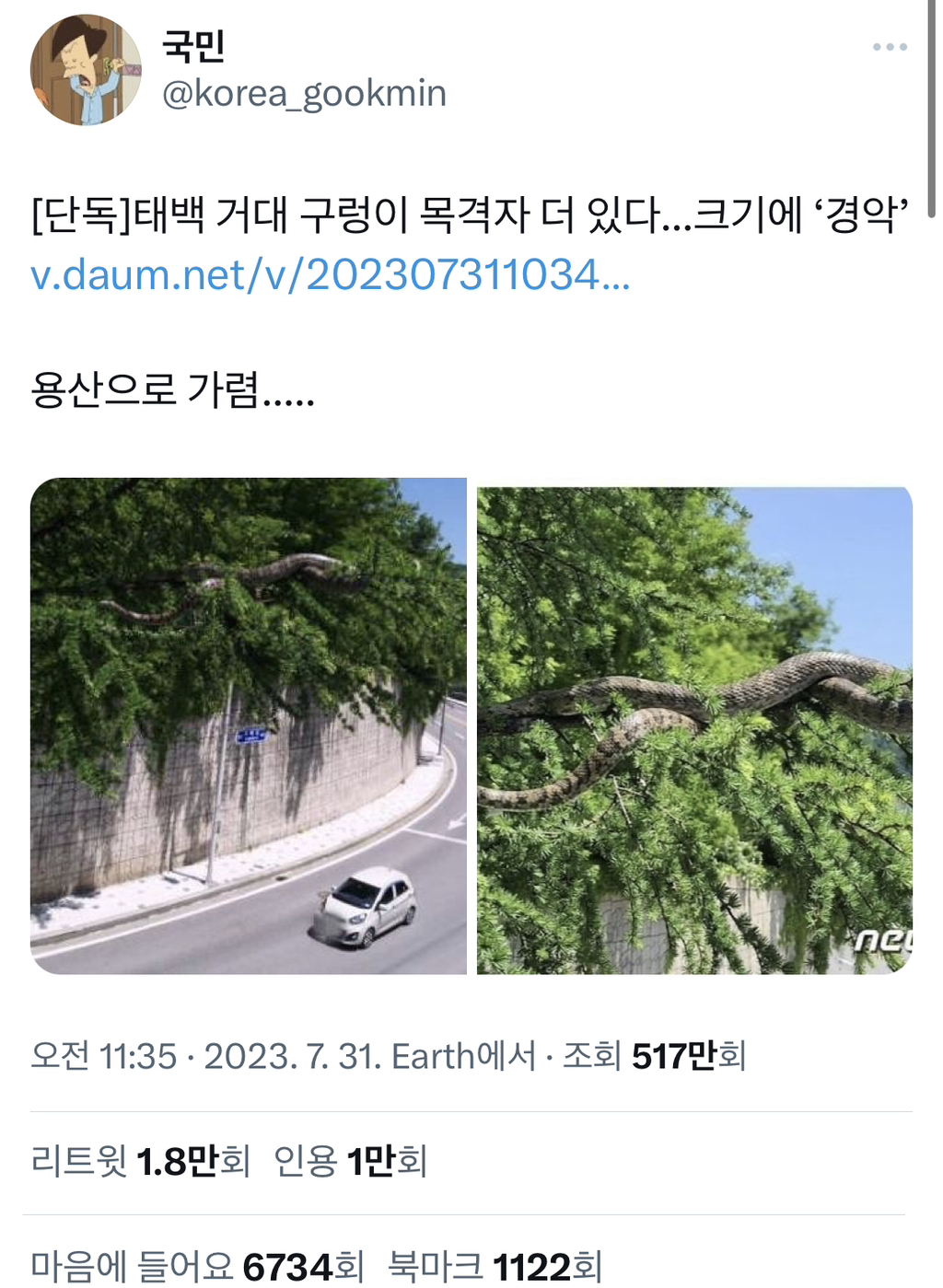 ...크기에 '경악' 태백 거대 구렁이의 최종 목적지 | 인스티즈