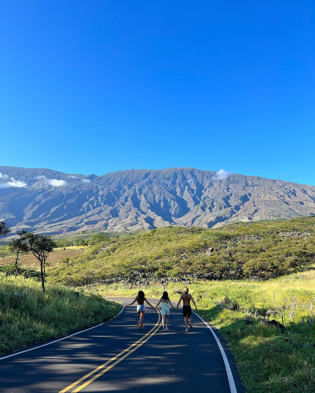 하와이에 사는 사람들이 올린 사진들 | 인스티즈
