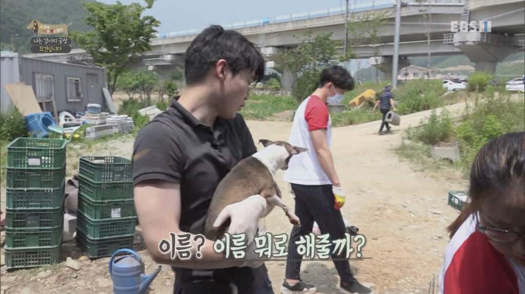 [세상에나쁜개는없다] 강아지 공장에서 구조되어 설채현 전문가에게 입양된 '세상이' 근황 | 인스티즈