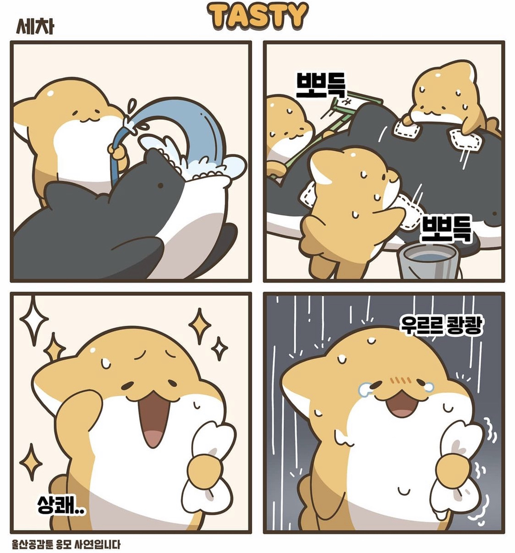 노잼도시 탈출을 위한 울산 고래운전면허증.jpg | 인스티즈