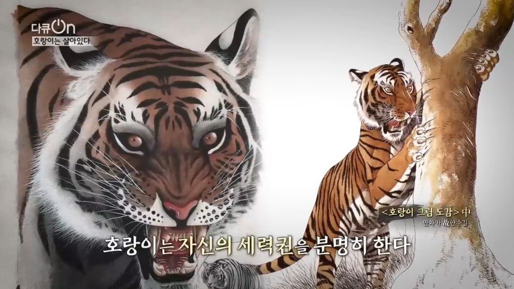 '절멸'의 '한국 호랑이'. 🐅 그 100년간의 이야기. -마지막- | 인스티즈
