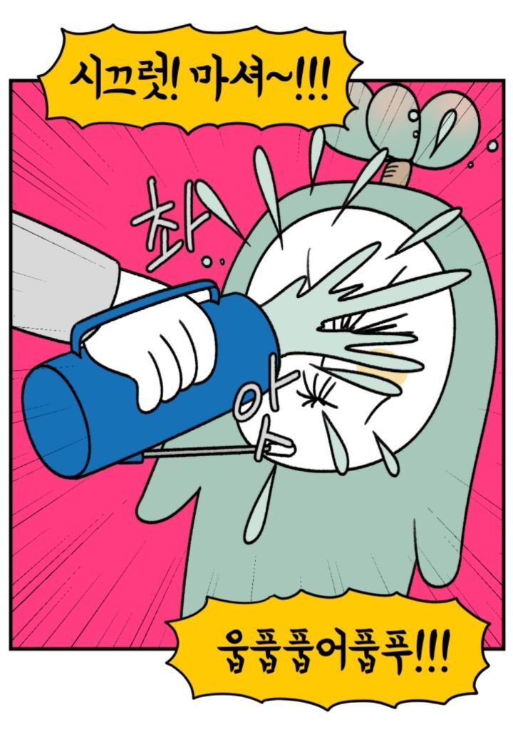 다육이 키우는 초보자들이 제일 많이 하는 실수 | 인스티즈