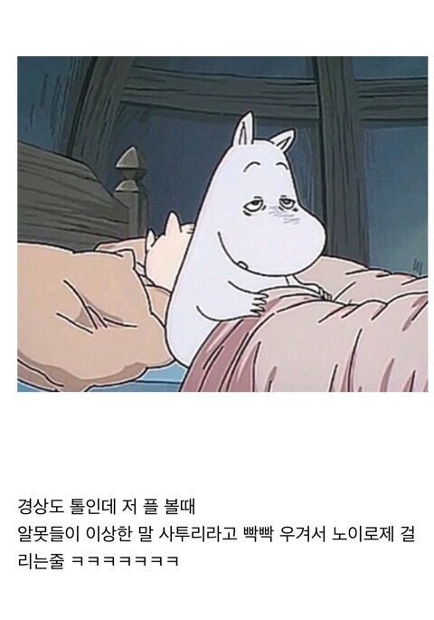 ??: "안녕하노”는 경상도 사투리다 | 인스티즈