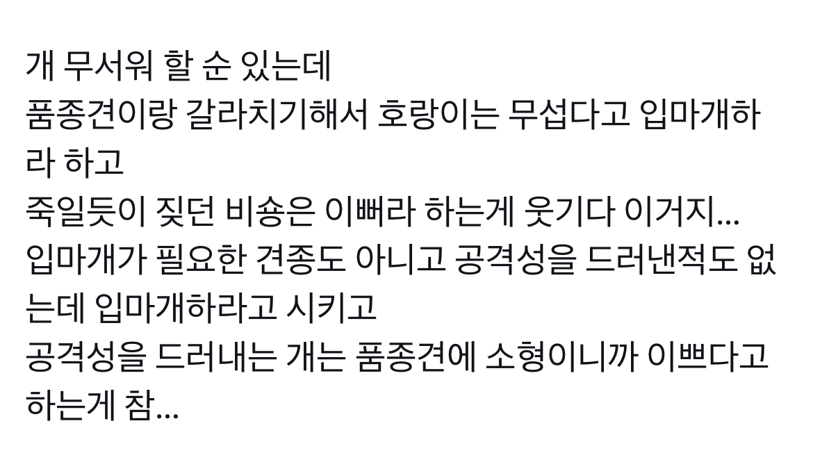 품종견과 진도믹스견을 대하는 태도 차이 | 인스티즈