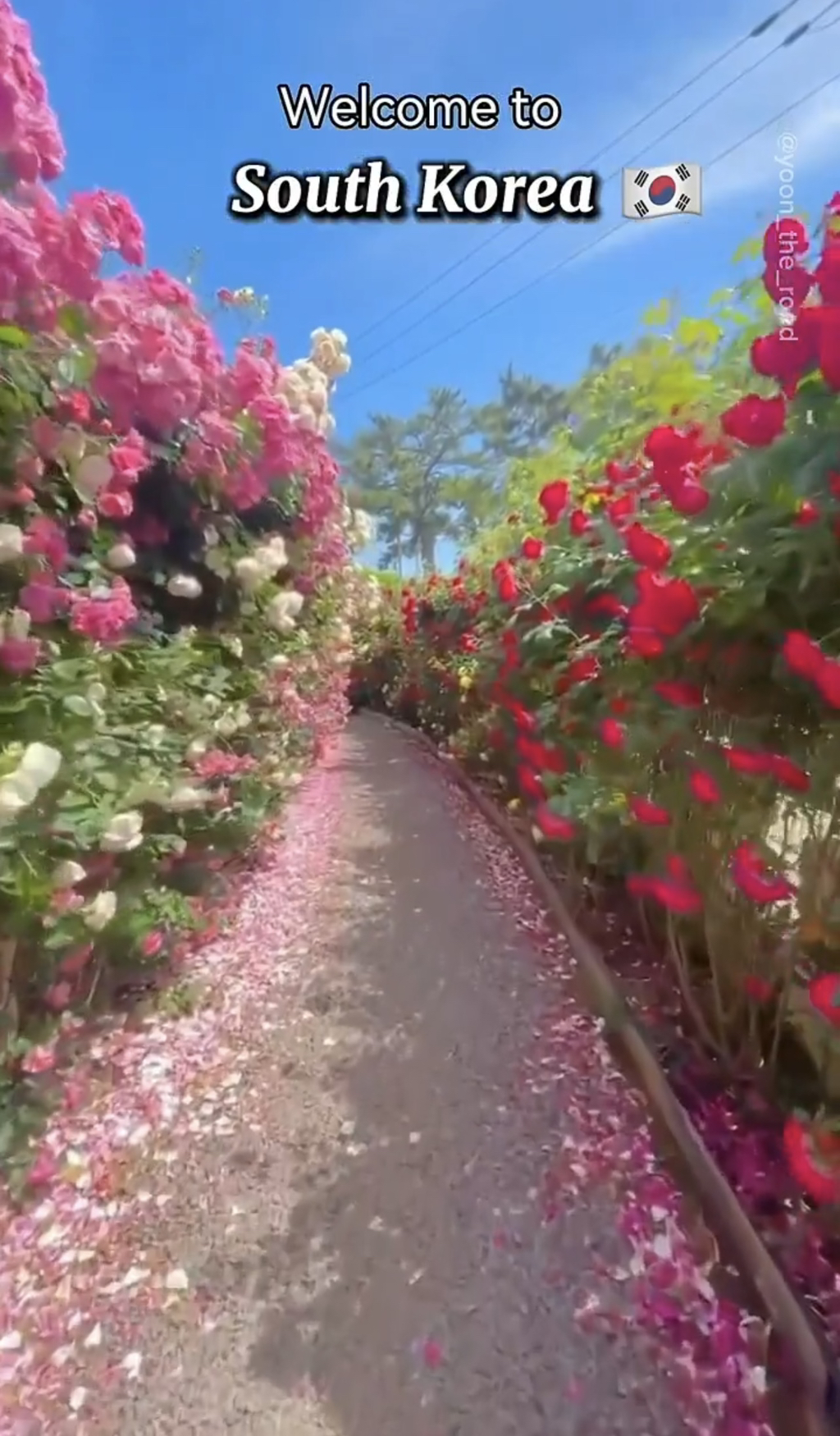 트위터에서 화제되었던 외국인이 소개하는 한국의 관광 여행지들 | 인스티즈