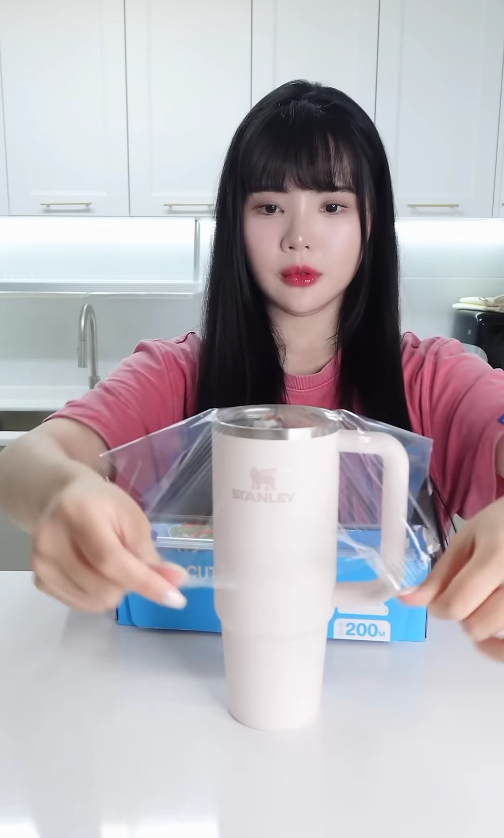 스탠리 텀블러에 요아정을 넣고 방콕 여행을 가면 녹을까 안 녹을까 | 인스티즈