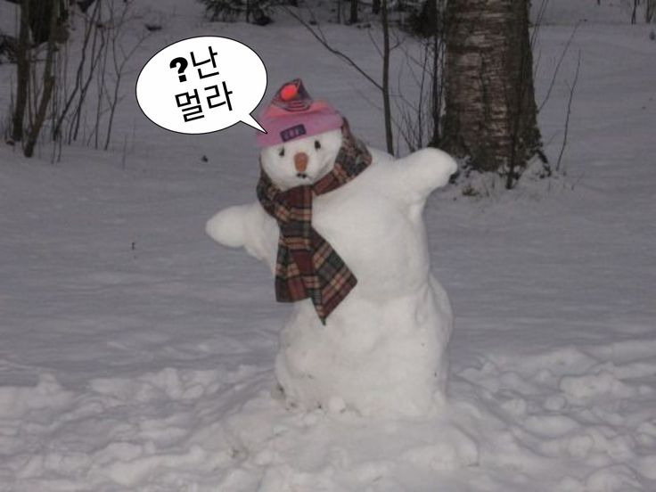 문장 뽑기: 인생에 힘이 되어주는 문장들이 들어있어요 | 인스티즈