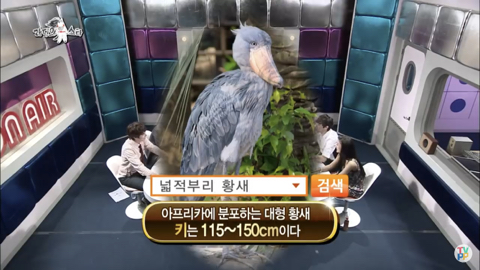 9fffa21265c9f123f93e00e3f9b213f9dcec2492