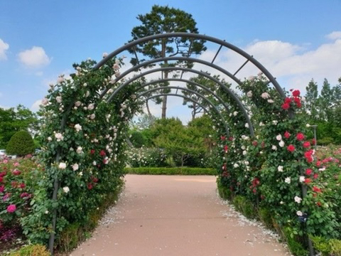 광주광역시 시청이 이 모양으로 지어진 이유 | 인스티즈