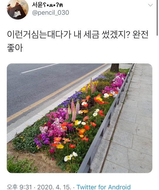 이런거 심는대다가 내 세금 썼겠지?.jpg | 인스티즈