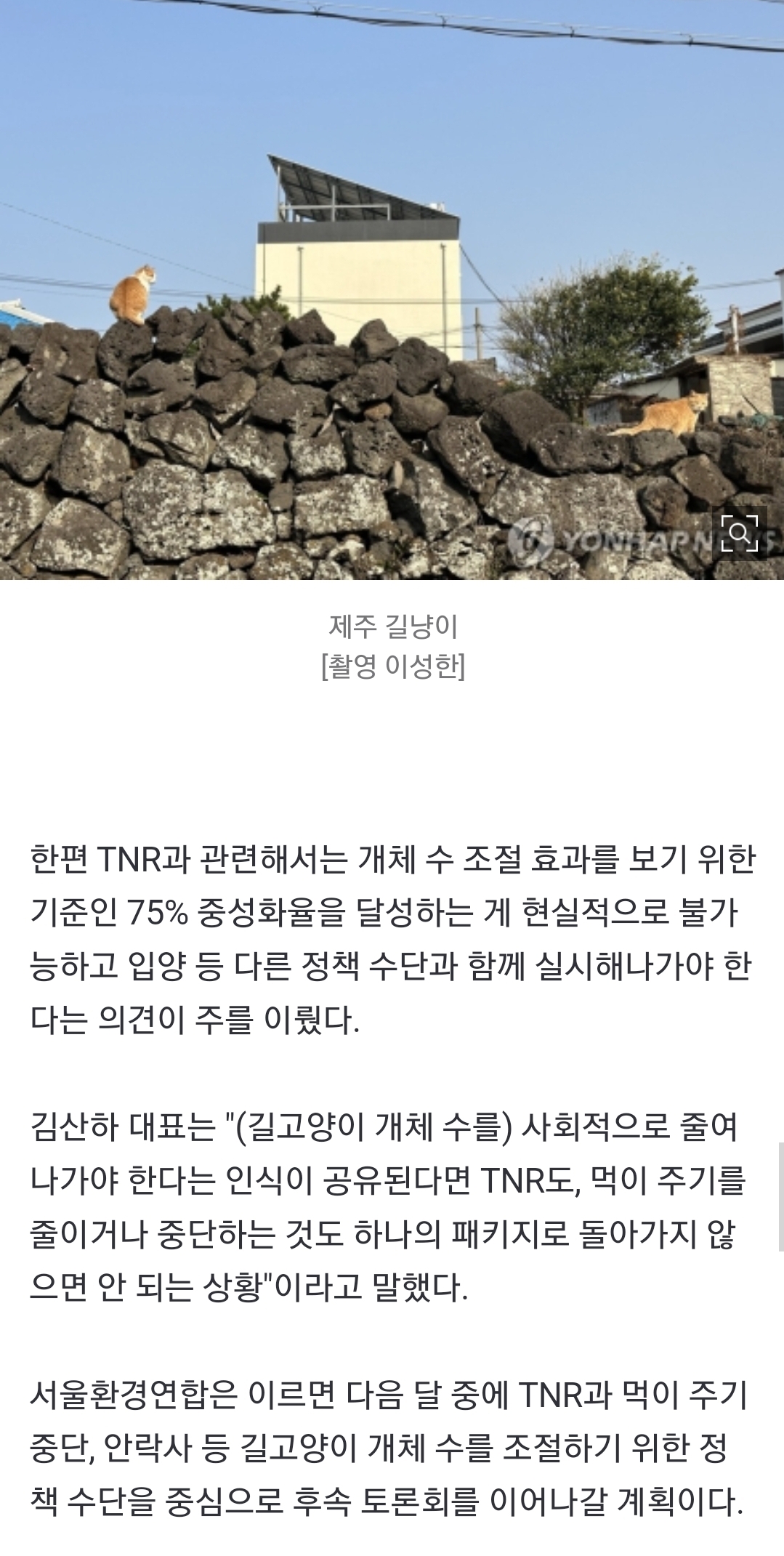 새덕후 참여 토론에서 길고양이 안락사 얘기 나옴.jpg | 인스티즈