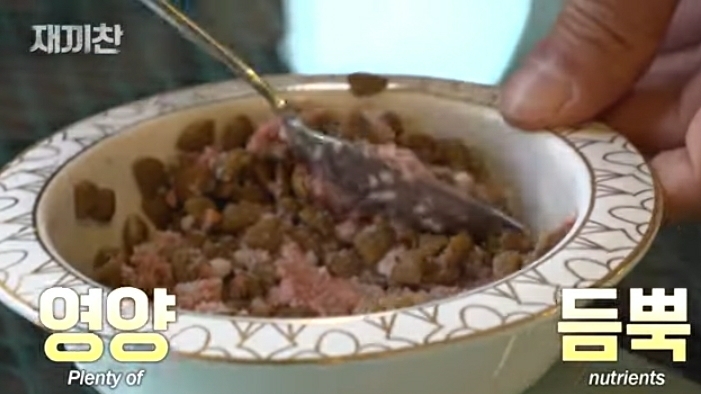 개농장에서 구출됐던 강아지 꽃님이의 버르장머리 없어진 최근 모습 | 인스티즈