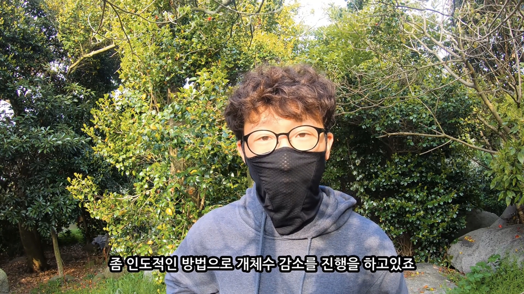 고양이가 자연생태계에 끼치는 심각한 영향(새 사체사진있음) | 인스티즈