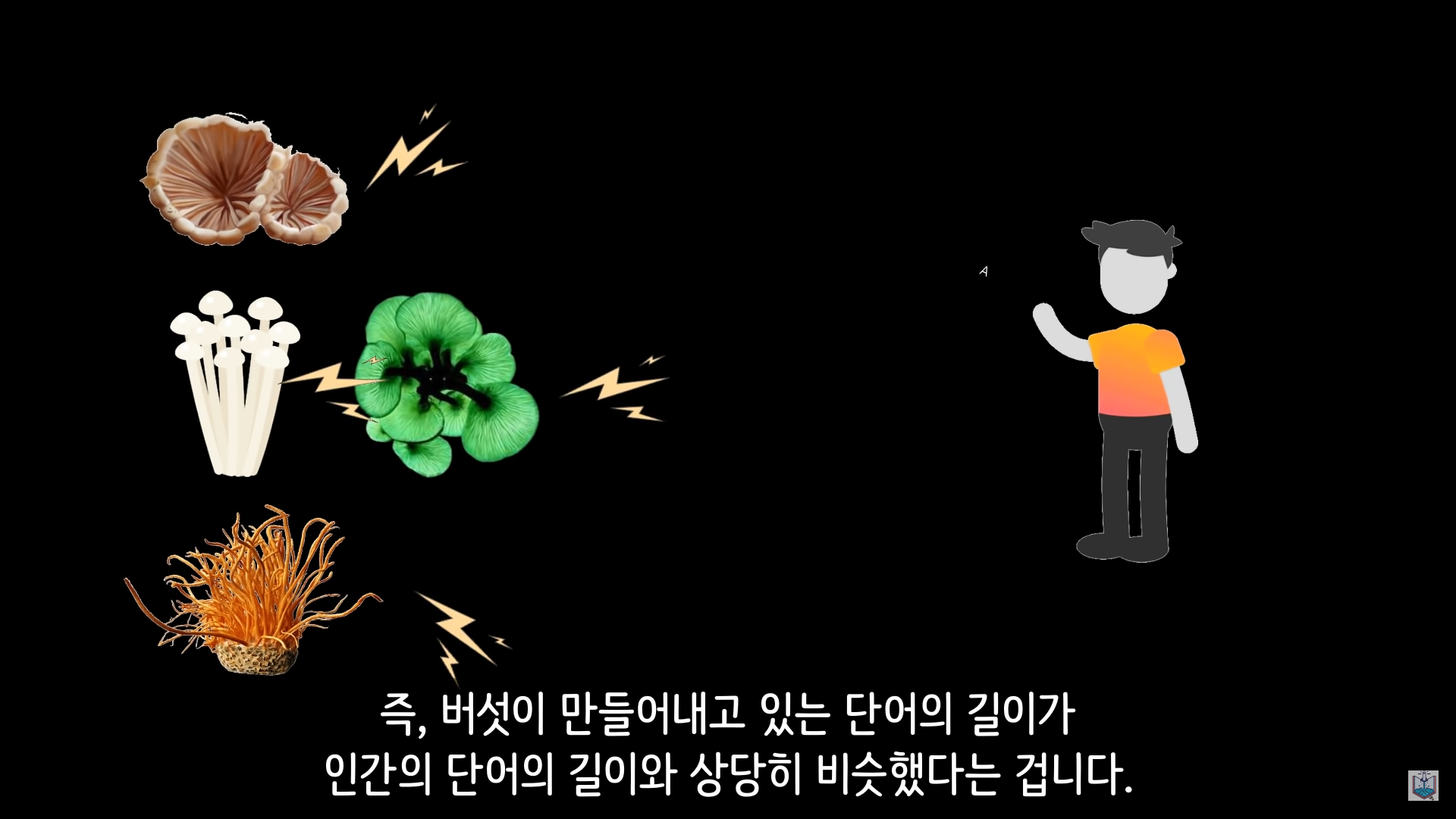 버섯이 단어와 문장을 사용해 서로 대화하고 있을지도 모른다고? | 인스티즈