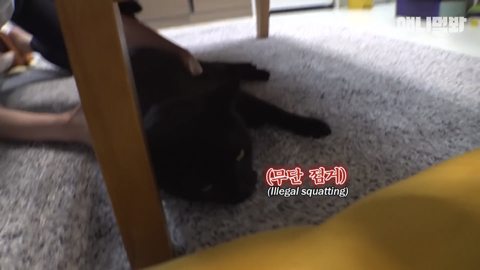 밤낮없이 집 도어락을 누르는 누군가때문에 고민인 부부 | 인스티즈