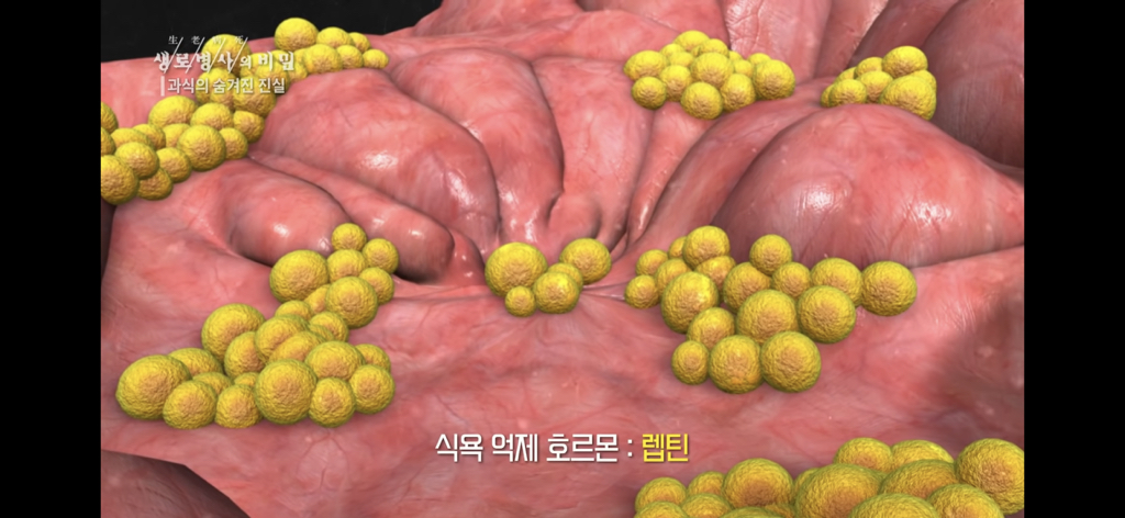 a08d935d783bed4cf35b414327ad2d9daedf119c