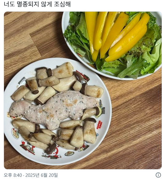 요새 트위터에서 화제 중인 식단 계정...... | 인스티즈