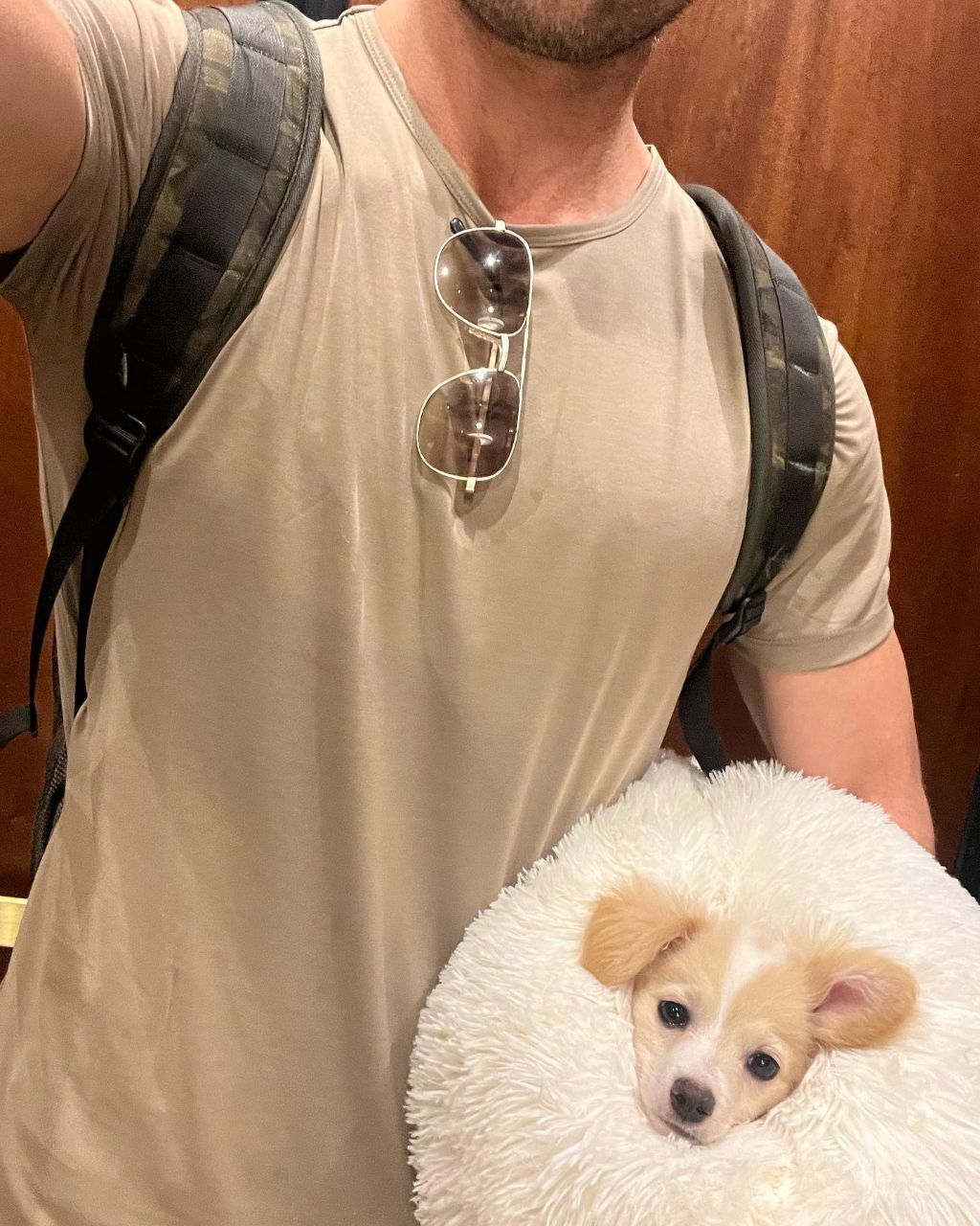 동물 구호 단체에서 유기견 입양한 행맨 | 인스티즈