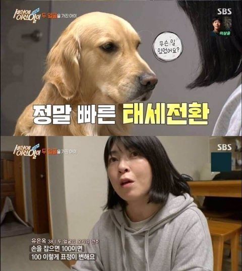 리트리버가 이렇게 화내는 거 첨봄 | 인스티즈