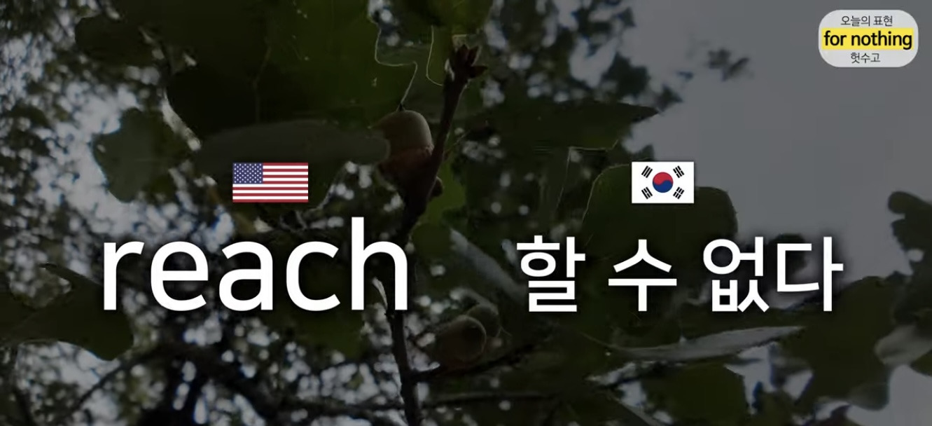 이중언어 (🇰🇷🇺🇸)로 키우면 겪는 현실적인 문제점 | 인스티즈