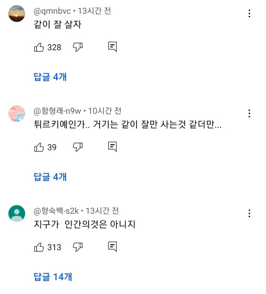 예전과 달라진 길고양이 급식소 겨울집 여론 | 인스티즈