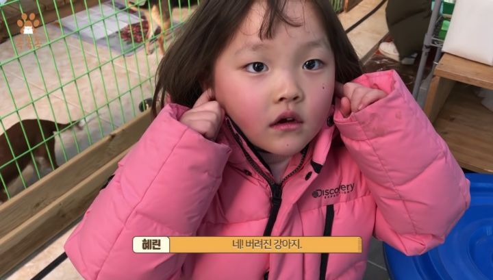 7살 아이 눈에 비친 유기견 보호소는? | 인스티즈