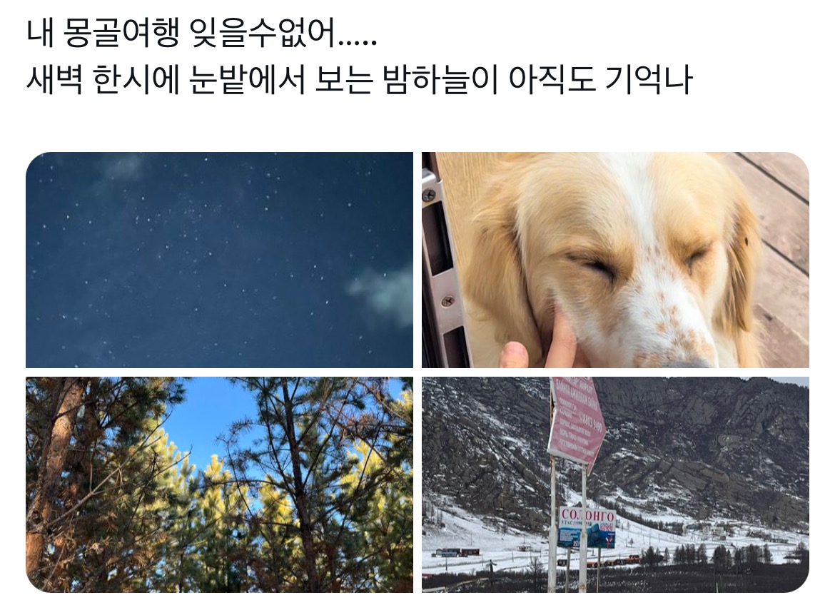 몽골에 가면 생각 정리 하게 돼서 참 좋아.twt | 인스티즈