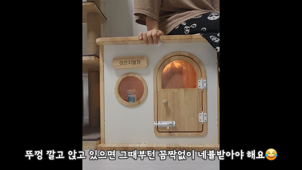 22똥괭이네) 화나서 세모눈된 고양이 😾 | 인스티즈