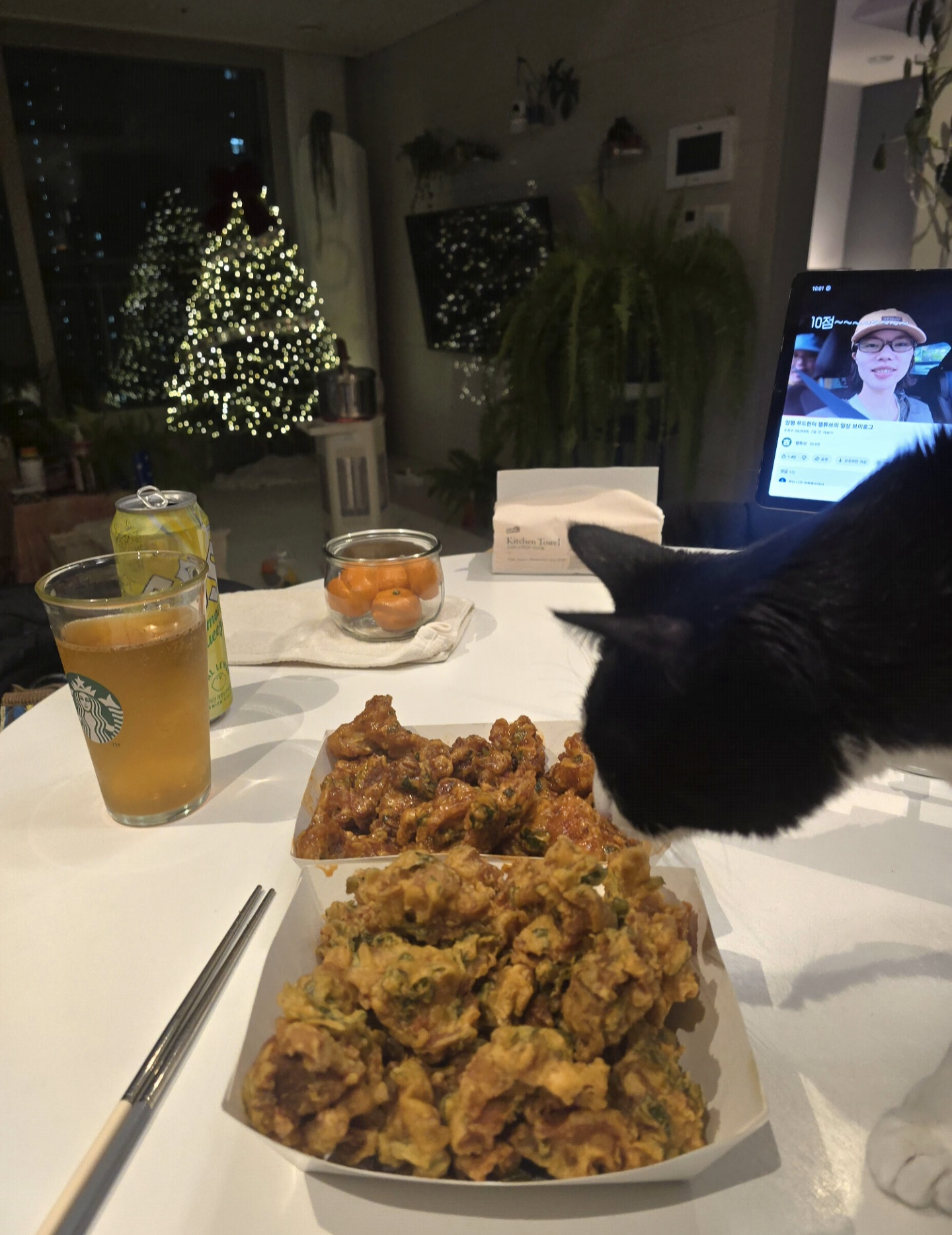 안주 뽏이는 고양이 어떤데 ㅋ 5나탄 ㅋ | 인스티즈