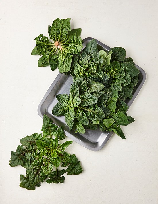 이맘 때 마트 곳곳에서 널어놓고 판매하는 거.jpg | 인스티즈